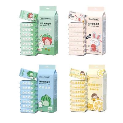 Bantang Portable Makeup Wipes